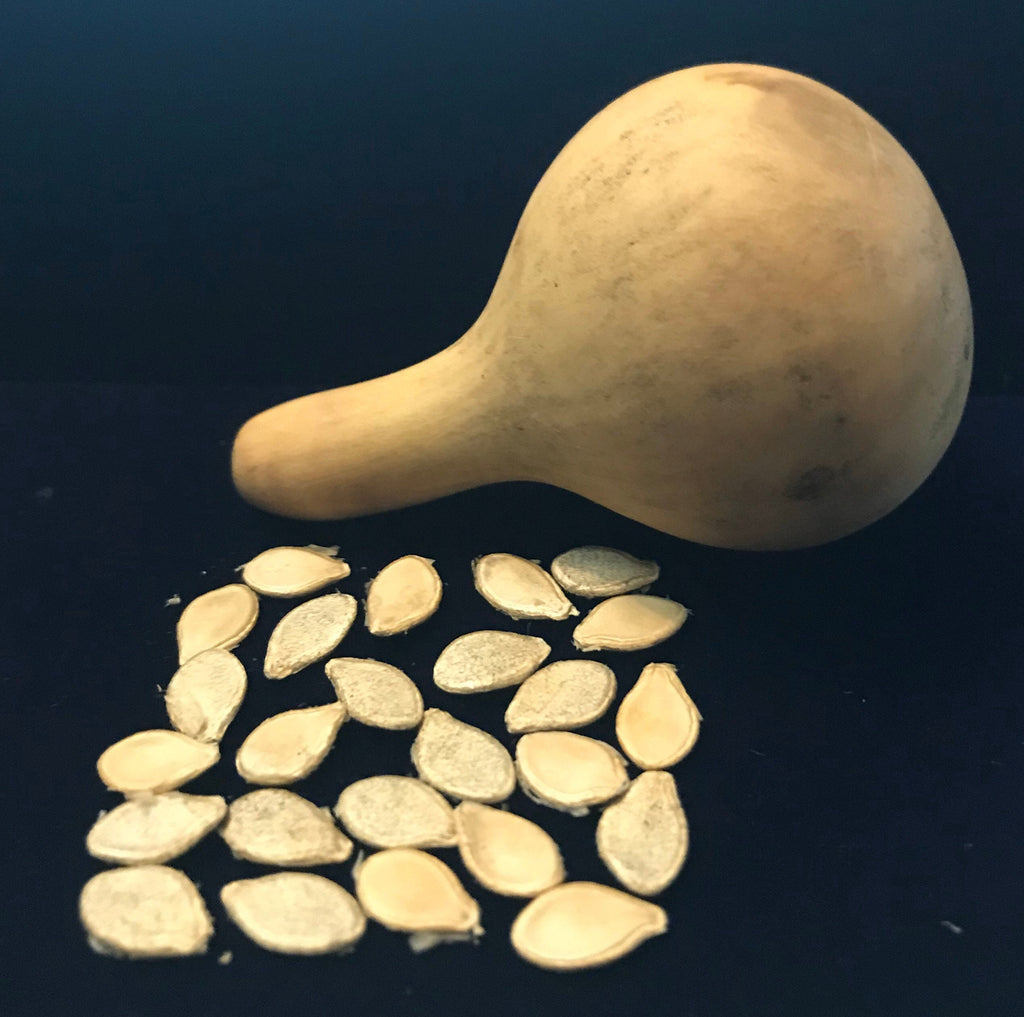 Tennessee Spinner Gourd seeds Tennessee dancing gourd sun loving organic white flower vine arch plant small gourd gift seed home décor gift