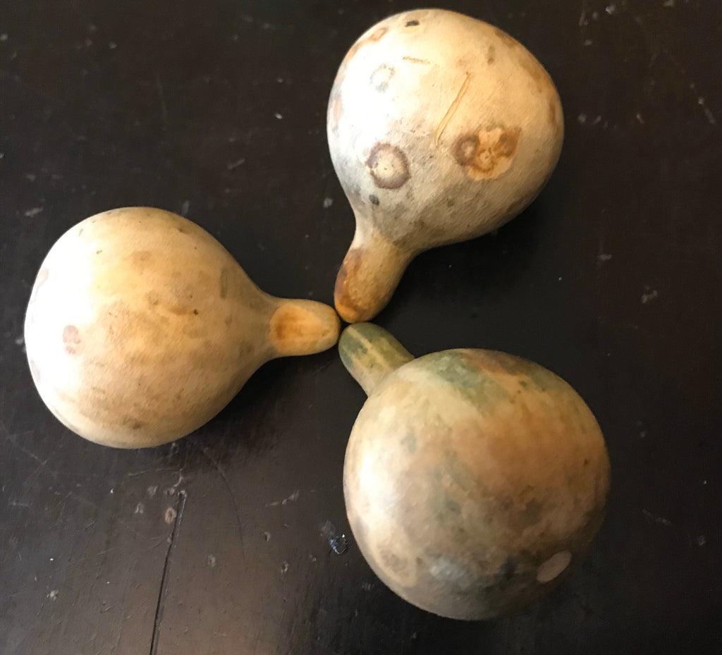 Dry Tennessee dancing Spinning Gourds decorations seed vine Arch loving small gourd dancing gourd fast growing home décor house art maraca