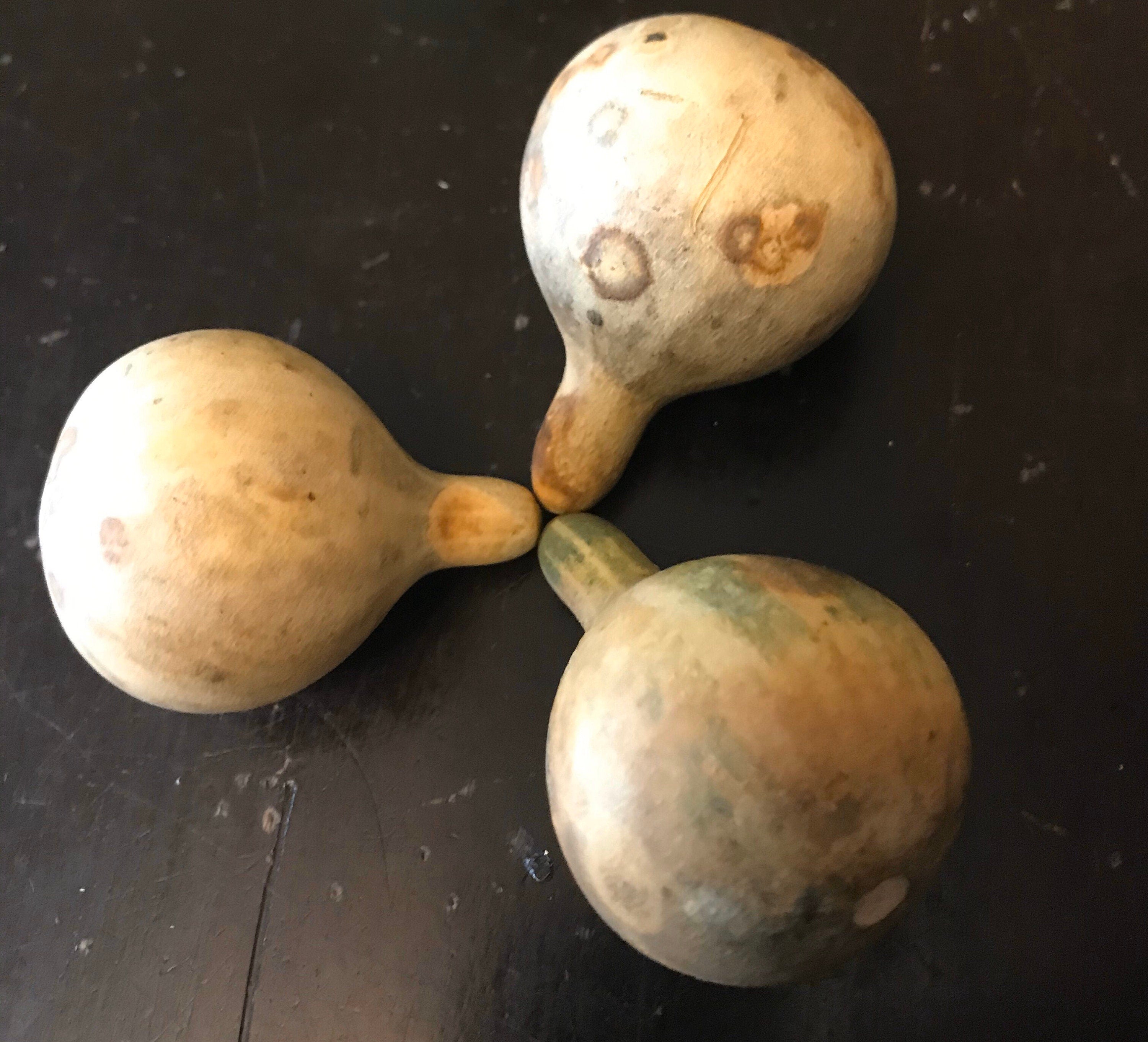 Dry Tennessee dancing Spinning Gourds decorations seed vine Arch loving small gourd dancing gourd fast growing home décor house art maraca