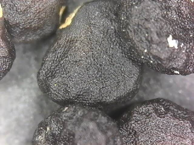 moonflower blooms at night Beautiful bloom Seeds 50ct