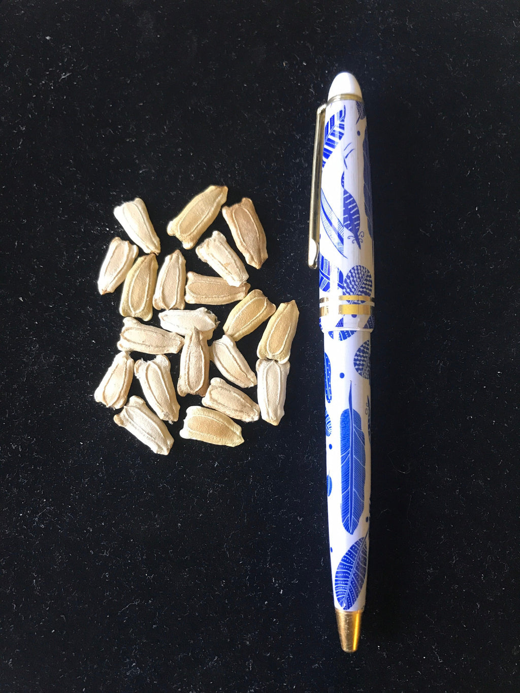 Birdhouse Gourd Seeds Large Gourd Seeds 35count, large gourds, white flowers, vine, Arch plants, fast growing, all organic, sour melons,