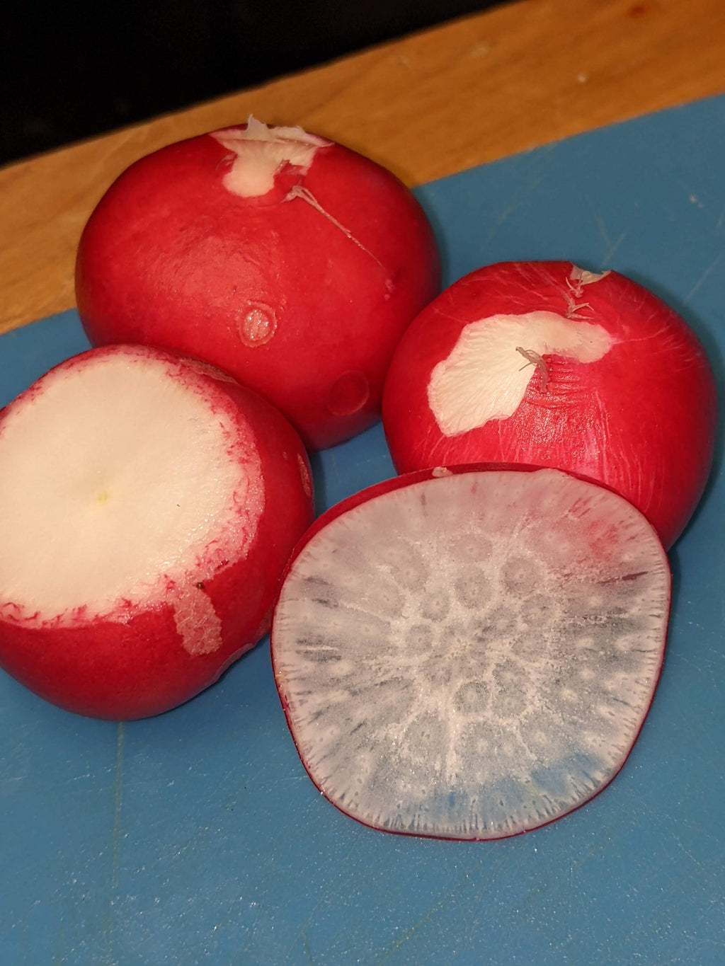 Radish seeds garden edible plant seed bank radish seed radish