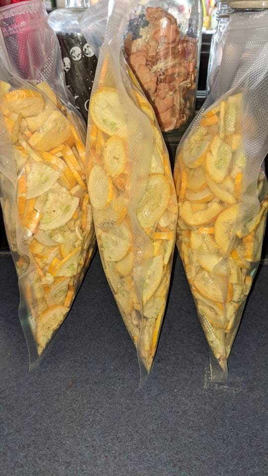 Freeze dried seasoned Zuici chips 2oz